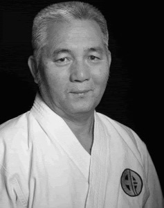 Dai Sensei Meitetsu Yagi